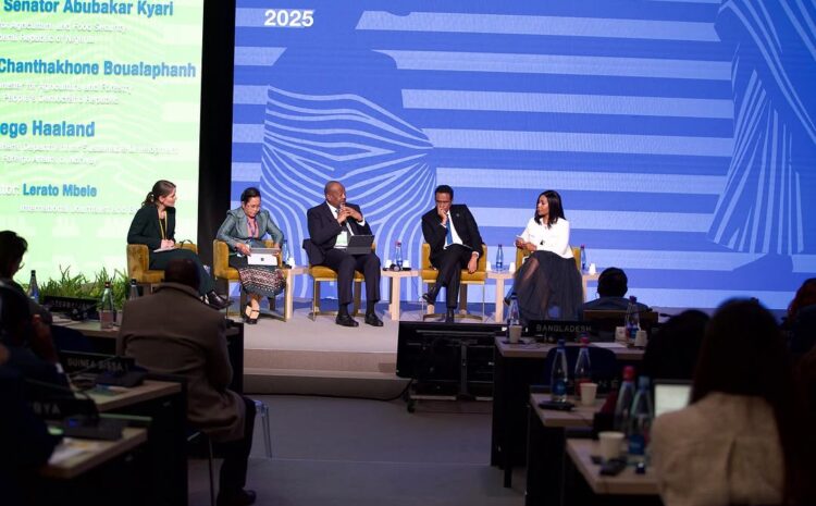Mhe. Hussein Bashe Aiwakilisha Tanzania Katika Mkutano wa IFAD