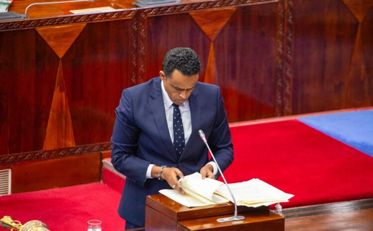 Hotuba ya Waziri wa Kilimo Kuhusu Bajeti ya Wizara ya Kilimo 2025/2026
